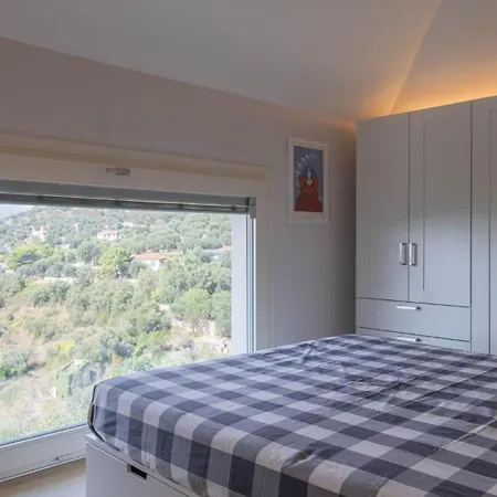 Luxury In Modern *