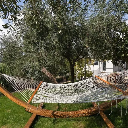 Villa Luxury In Modern *