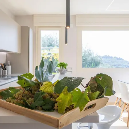 Luxury In Modern *